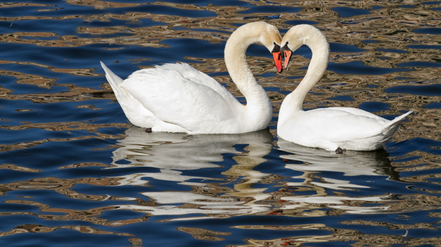 Det gäller att kunna titta på sig själv och sin partner med de mjukaste ögon.  Foto: Shutterstock